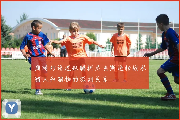 周琦妙语连珠解析尼克斯逆转战术猎人和猎物的深刻关系